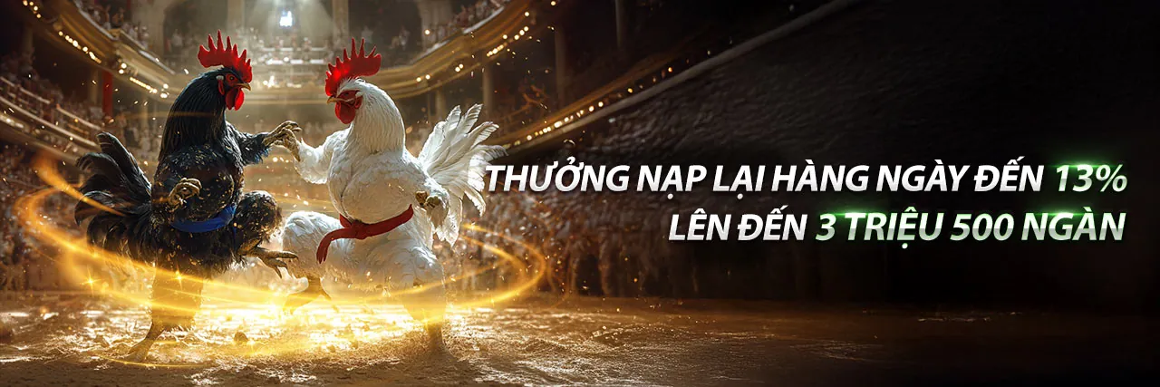 Thành viên VIP tận hưởng đặc quyền tại vndwin chính thức