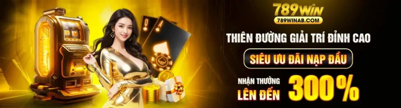 Chính sách bảo mật VNDWIN Chính Thức