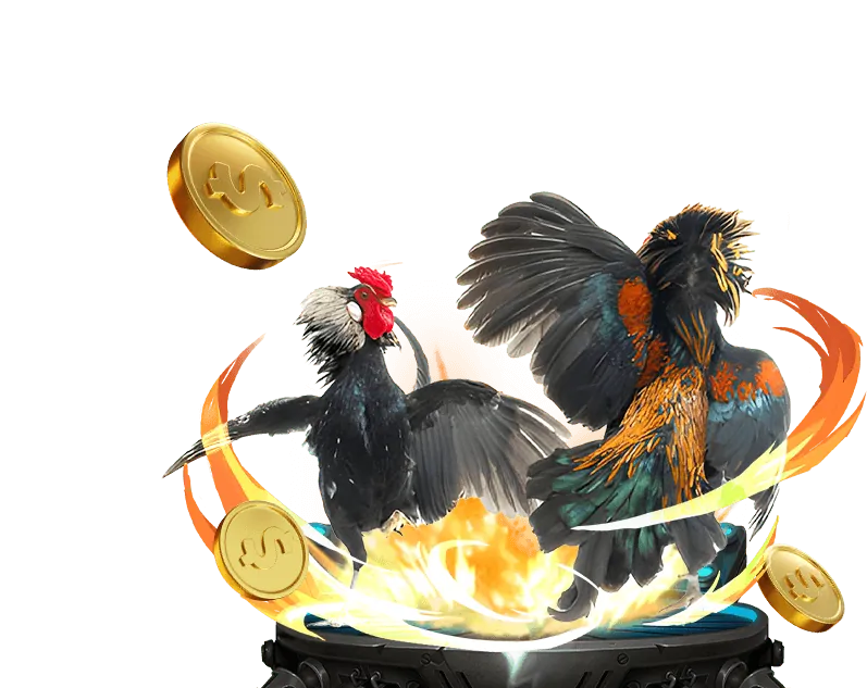 Hoàn Trả Hàng Tuần VNDWIN